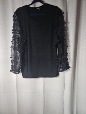 Alice Blue Black Sheer Petal-Sleeve Long Sleeve Top